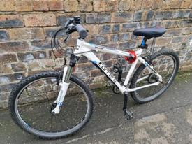 carrera valour white and blue